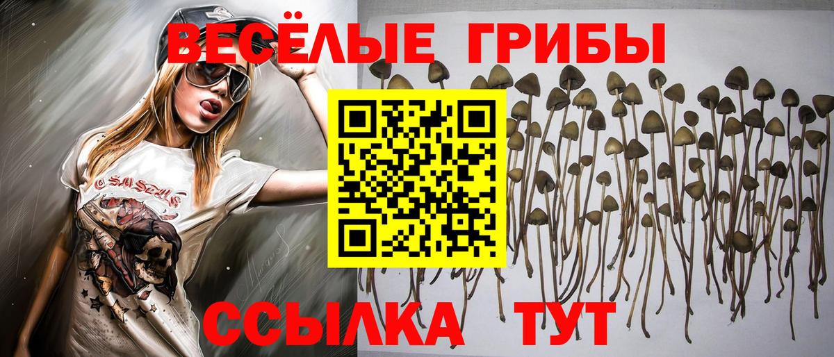 Галлюциногенные грибы MAGIC MUSHROOMS  Псилоцибиновые грибы мухоморы  Вход с VPN  Назарово 